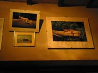 126-2681_IMG