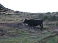 127-2744_IMG
