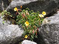 129-2941_IMG