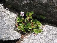 129-2942_IMG