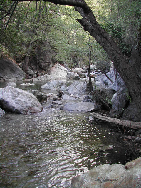 2002-03-12-RoadTripDay2