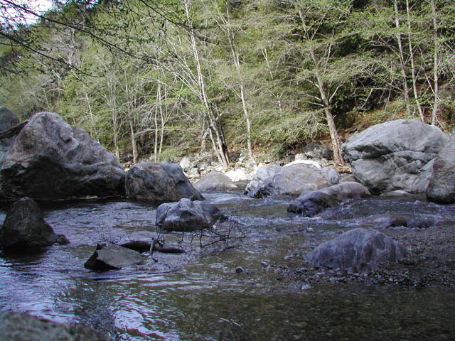 2002-03-12-RoadTripDay2