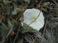 2002-03-12-RoadTripDay2