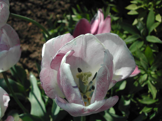2002-03-15-RoadTripDay04