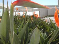 2002-03-15-RoadTripDay04