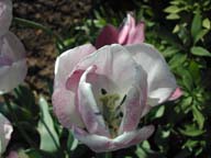 2002-03-15-RoadTripDay04