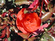 2002-03-15-RoadTripDay04