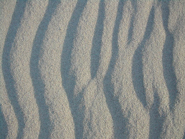 2002-03-16-RoadTripDay05