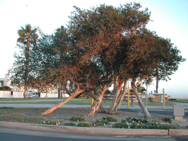 2002-03-16-RoadTripDay05