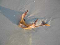 2002-03-16-RoadTripDay05