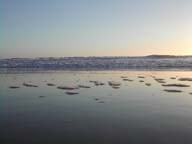 2002-03-16-RoadTripDay05