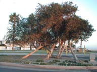 2002-03-16-RoadTripDay05