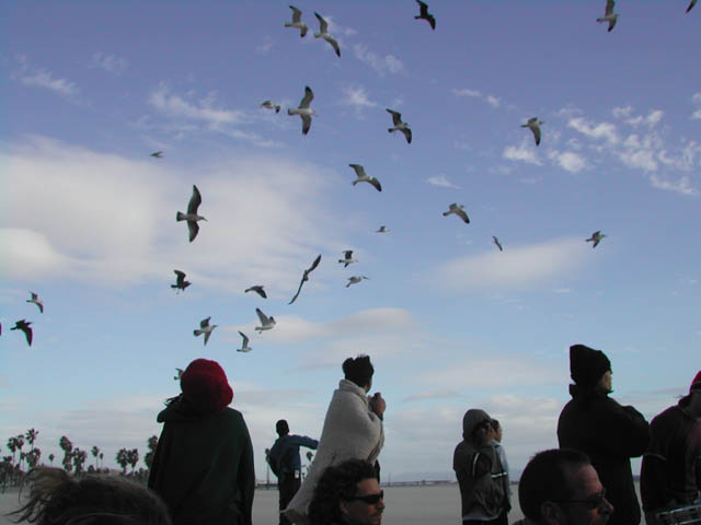 2002-03-17-RoadTripDay06