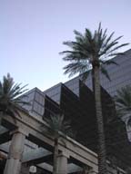 2002-03-19-RoadTripDay08