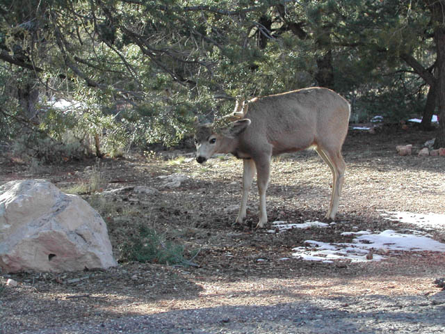 2002-03-20-RoadTripDay09