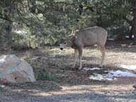 2002-03-20-RoadTripDay09