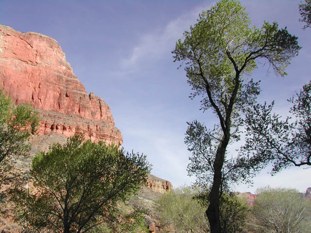 2002-03-21-RoadTripDay10