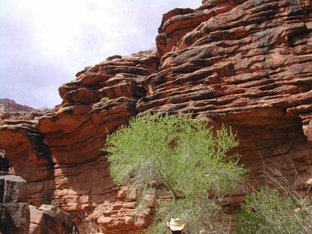 2002-03-21-RoadTripDay10