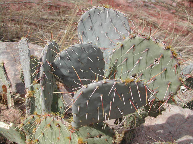 2002-03-21-RoadTripDay10