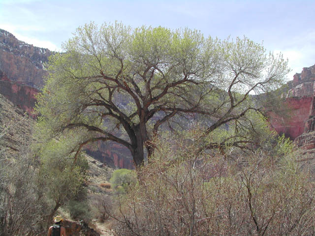 2002-03-21-RoadTripDay10