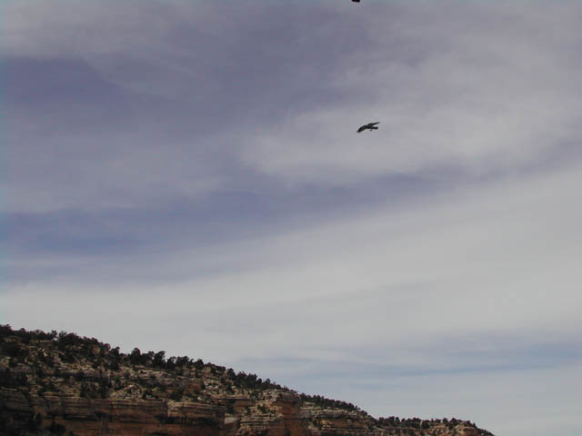 2002-03-21-RoadTripDay10