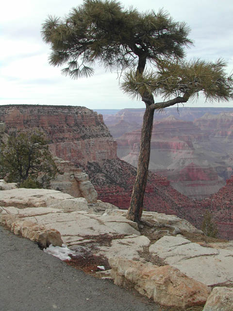 2002-03-21-RoadTripDay10