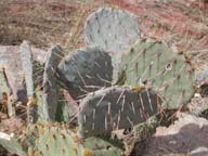 2002-03-21-RoadTripDay10