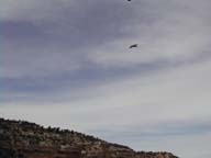 2002-03-21-RoadTripDay10