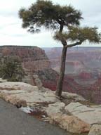 2002-03-21-RoadTripDay10