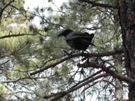 2002-03-21-RoadTripDay10