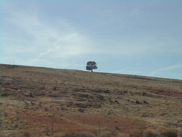 2002-03-22-RoadTripDay11