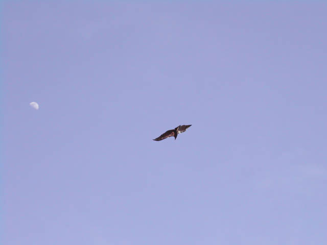 2002-03-22-RoadTripDay11