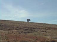 2002-03-22-RoadTripDay11