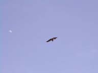 2002-03-22-RoadTripDay11