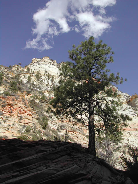 2002-03-23-RoadTripDay12