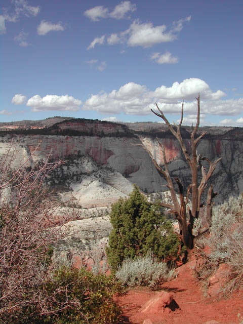 2002-03-23-RoadTripDay12