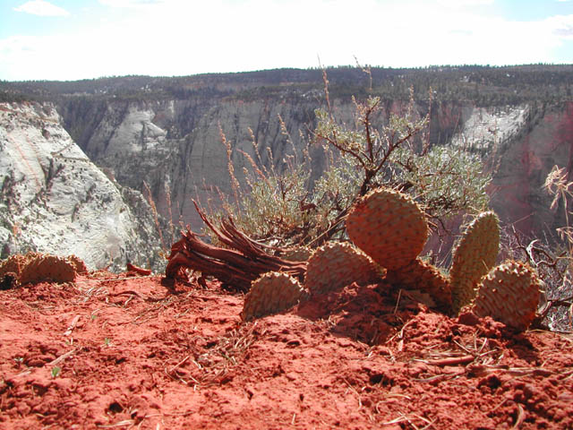2002-03-23-RoadTripDay12
