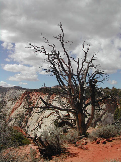 2002-03-23-RoadTripDay12