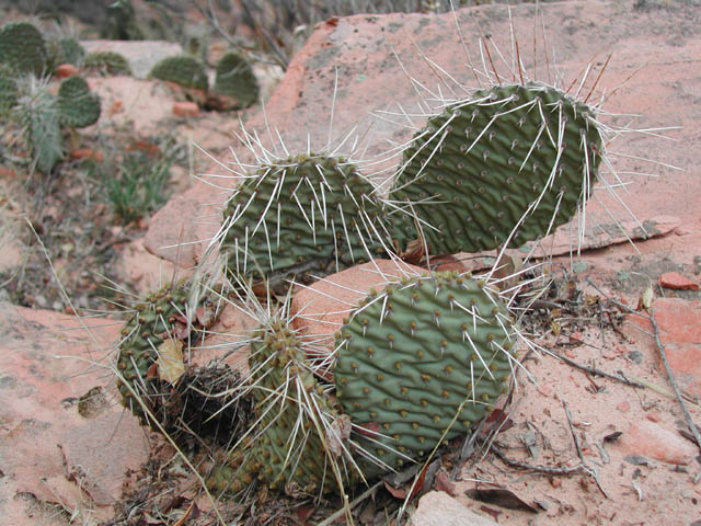 2002-03-23-RoadTripDay12