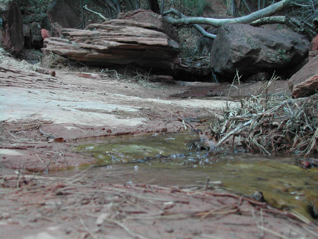 2002-03-23-RoadTripDay12