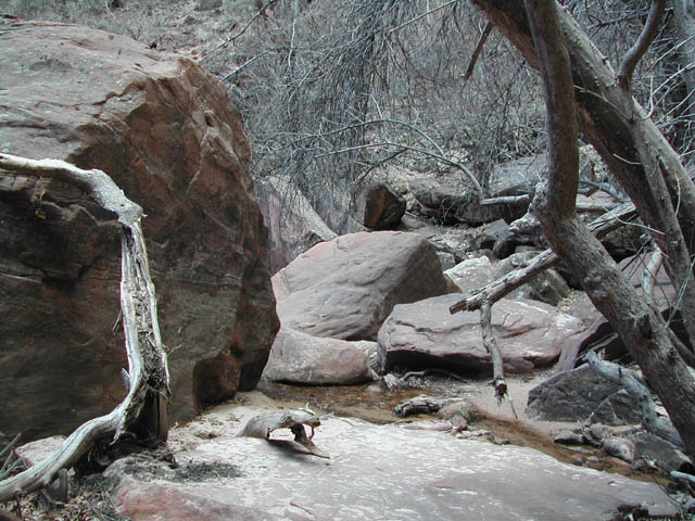 2002-03-23-RoadTripDay12