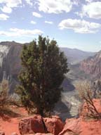 2002-03-23-RoadTripDay12