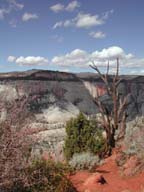 2002-03-23-RoadTripDay12
