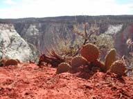 2002-03-23-RoadTripDay12
