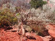 2002-03-23-RoadTripDay12