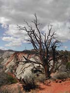 2002-03-23-RoadTripDay12