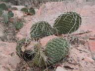 2002-03-23-RoadTripDay12