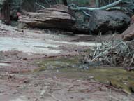2002-03-23-RoadTripDay12