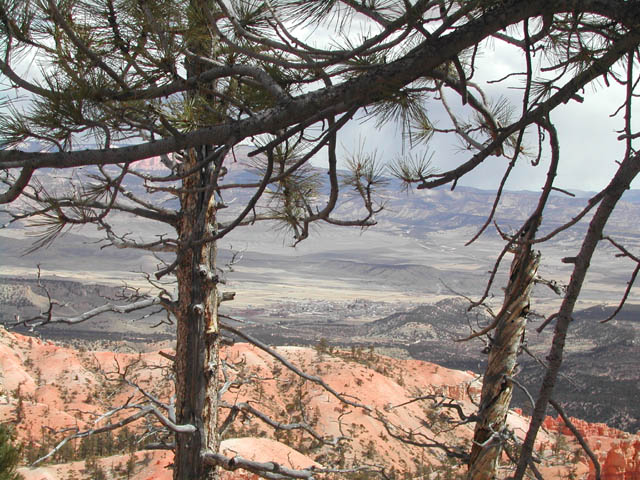 2002-03-24-RoadTripDay13