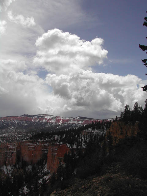 2002-03-24-RoadTripDay13